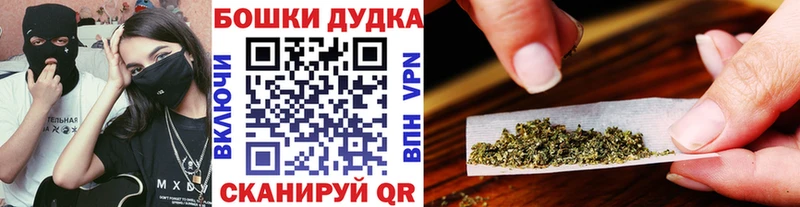 где продают Стародуб Шишки марихуана SATIVA & INDICA